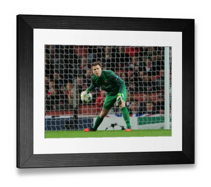Framed Print : Wojciech Szczesny (Arsenal). Arsenal 2: 0 Montpellier. UEFA Champions League. Group B Framed Print : Wojciech Szczesny (Arsenal). Arsenal 2: 0 Montpellier. UEFA Champions League. Group B