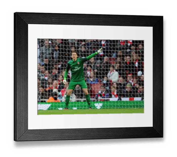 Framed Print : Wojciech Szczesny: Arsenal's Wall against Swansea City (2012-13) Framed Print : Wojciech Szczesny: Arsenal's Wall against Swansea City (2012-13)