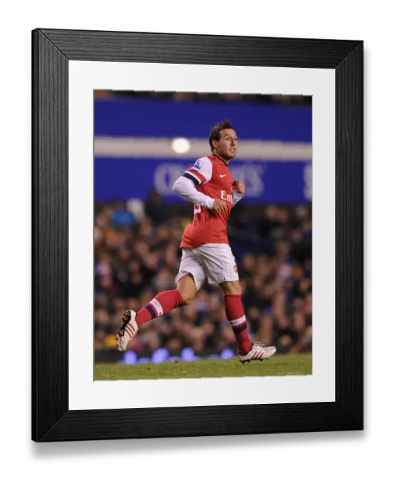 Framed Print : Santi Cazorla in Action: Everton vs. Arsenal, Premier League 2012-13 Framed Print : Santi Cazorla in Action: Everton vs. Arsenal, Premier League 2012-13
