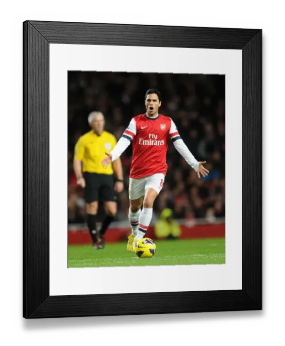 Framed Print : Mikel Arteta Leads Arsenal Against Newcastle United (2012-13) Framed Print : Mikel Arteta Leads Arsenal Against Newcastle United (2012-13)