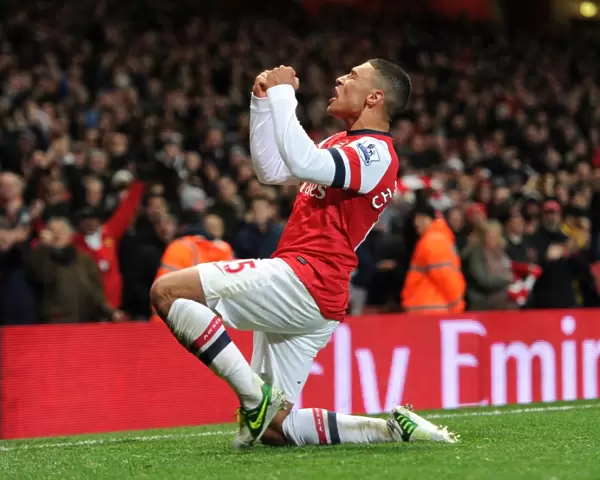 Alex Oxlade-Chamberlain's Thrilling Goal Celebration: Arsenal's Victory Against Newcastle United, Premier League 2012-13