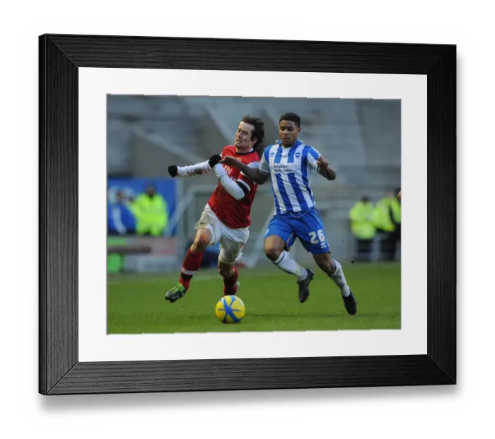 Framed Print : Tomas Rosicky (Arsenal) Liam Bridcutt (Brighton). Brighton & Hove Albion 2: 3 Arsenal Framed Print : Tomas Rosicky (Arsenal) Liam Bridcutt (Brighton). Brighton & Hove Albion 2: 3 Arsenal