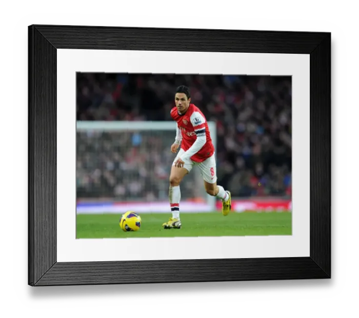 Framed Print : Mikel Arteta Leads Arsenal Against Stoke City, Premier League 2012-13