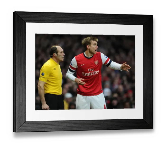 Framed Print : Controversial Disallowed Goal: Per Mertesacker (Arsenal) vs Stoke City, Premier League 2012-13