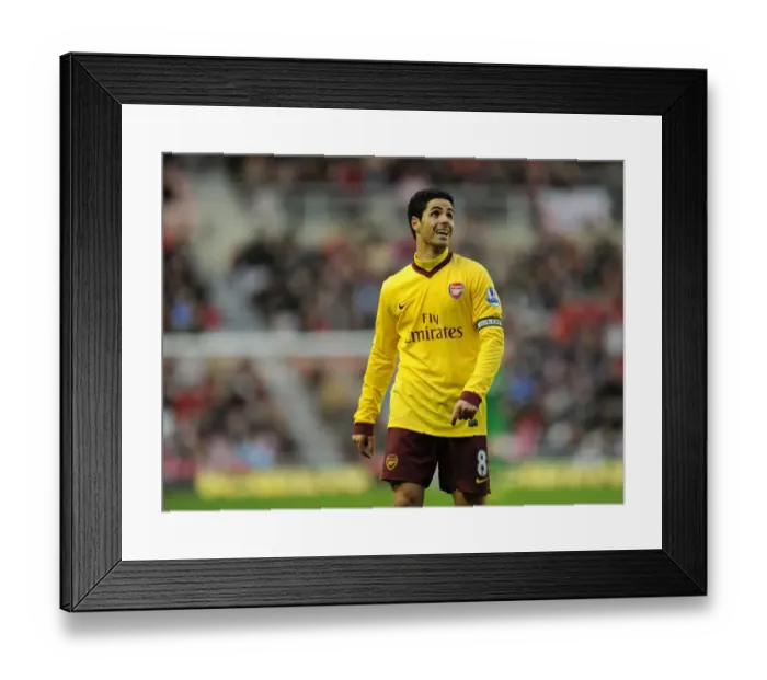 Framed Print : Sunderland v Arsenal - Premier League Framed Print : Sunderland v Arsenal - Premier League