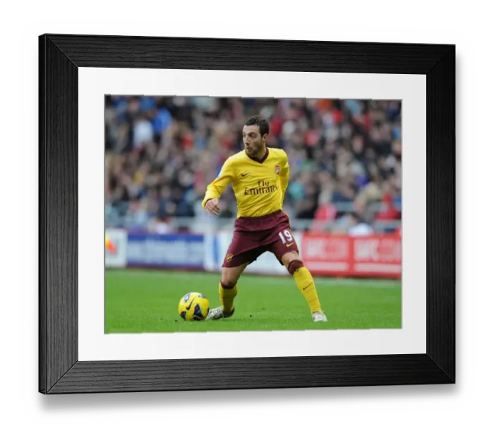 Framed Print : Santi Cazorla in Action: Arsenal vs Sunderland, Premier League 2012-13 Framed Print : Santi Cazorla in Action: Arsenal vs Sunderland, Premier League 2012-13