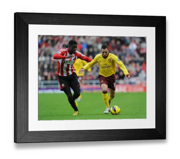 Framed Print : Santi Cazorla vs. Alfred N'Diaye: Clash of Midfield Titans - Sunderland vs. Arsenal, Premier League 2012-13 Framed Print : Santi Cazorla vs. Alfred N'Diaye: Clash of Midfield Titans - Sunderland vs. Arsenal, Premier League 2012-13
