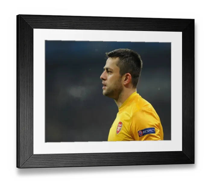 Framed Print : Lukasz Fabianski: Arsenal's Fortune at Bayern Munich, 2012-13 UEFA Champions League