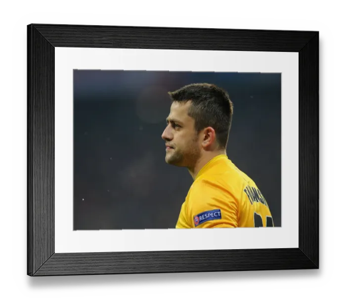 Framed Print : Lukasz Fabianski: Arsenal's Fortitude in Bayern Munich's Den (UEFA Champions League 2012-13) Framed Print : Lukasz Fabianski: Arsenal's Fortitude in Bayern Munich's Den (UEFA Champions League 2012-13)