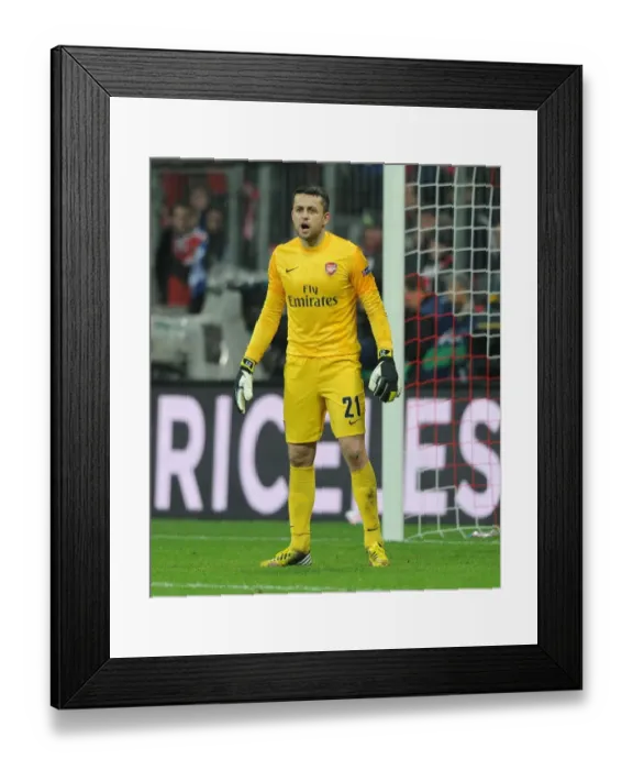 Framed Print : Arsenal's Unyielding Goalkeeper: Lukasz Fabianski's Brave Performance Against Bayern Munich in the UEFA Champions League (2012-13) Framed Print : Arsenal's Unyielding Goalkeeper: Lukasz Fabianski's Brave Performance Against Bayern Munich in the UEFA Champions League (2012-13)