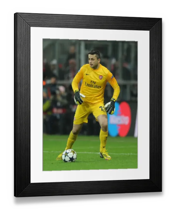 Framed Print : Arsenal's Unyielding Goalkeeper: Lukasz Fabianski's Battle Against Bayern Munich in the Champions League (2012-13) Framed Print : Arsenal's Unyielding Goalkeeper: Lukasz Fabianski's Battle Against Bayern Munich in the Champions League (2012-13)