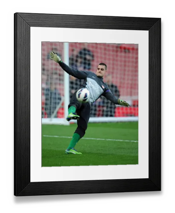 Framed Print : Vito Mannone (Arsenal). Arsenal 0: 0 Everton. Barclays Premier League. Emirates Stadium, 16 / 4 / 13 Framed Print : Vito Mannone (Arsenal). Arsenal 0: 0 Everton. Barclays Premier League. Emirates Stadium, 16 / 4 / 13