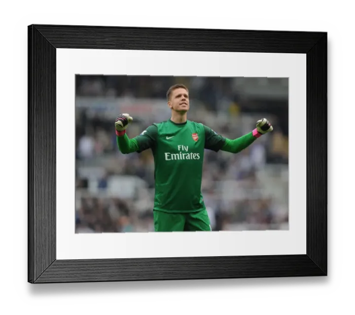 Framed Print : Arsenal's Szczesny Celebrates Newcastle Victory in 2012-13 Premier League Framed Print : Arsenal's Szczesny Celebrates Newcastle Victory in 2012-13 Premier League