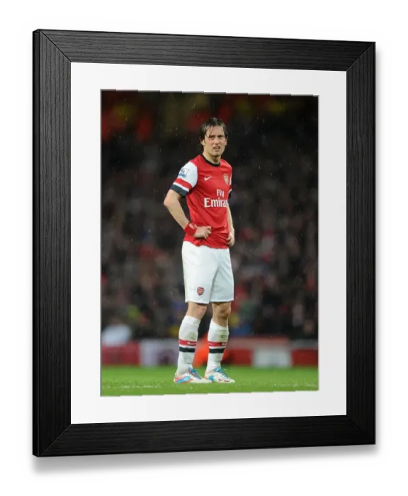 Framed Print : Arsenal's Tomas Rosicky Scores in 4-1 Victory over Wigan Athletic (Premier League, 14 / 5 / 13) Framed Print : Arsenal's Tomas Rosicky Scores in 4-1 Victory over Wigan Athletic (Premier League, 14 / 5 / 13)