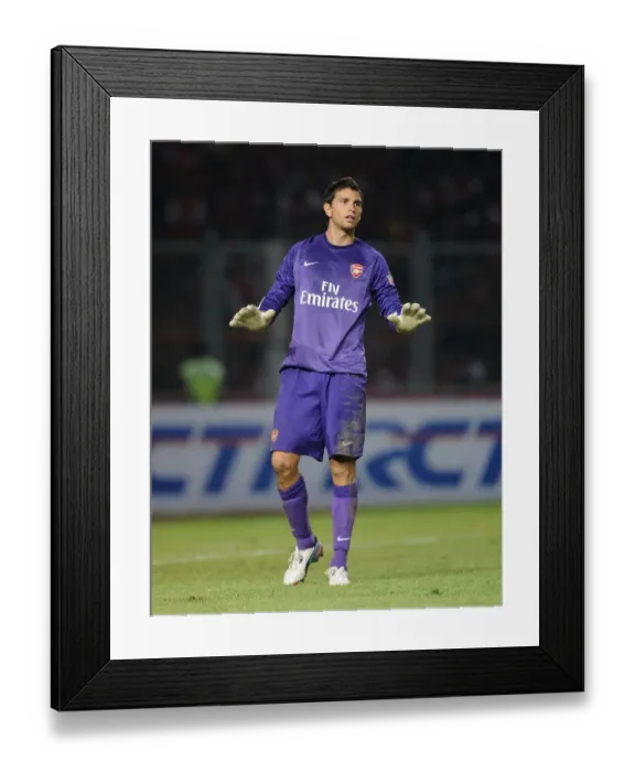 Framed Print : Arsenal's Damien Martinez Faces Indonesia All-Stars (2013)