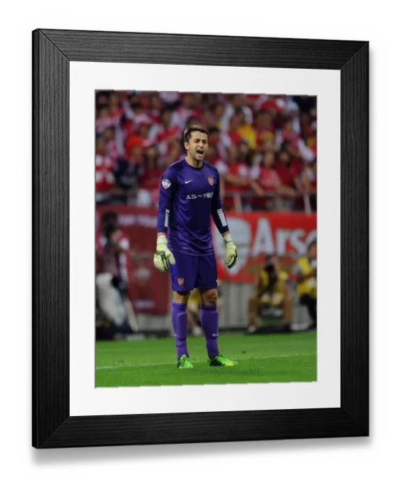 Framed Print : Lukas Fabianski in Action: Arsenal vs Urawa Red Diamonds, Japan 2013 Framed Print : Lukas Fabianski in Action: Arsenal vs Urawa Red Diamonds, Japan 2013