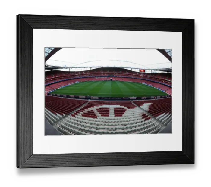 Framed Print : Arsenal vs Fenerbahce: UEFA Champions League Play-offs at Emirates Stadium, London (2013-14)