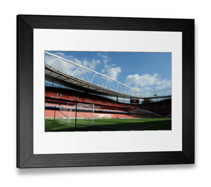 Framed Print : Arsenal vs Fenerbahce: UEFA Champions League Play-offs at Emirates Stadium (2013) Framed Print : Arsenal vs Fenerbahce: UEFA Champions League Play-offs at Emirates Stadium (2013)