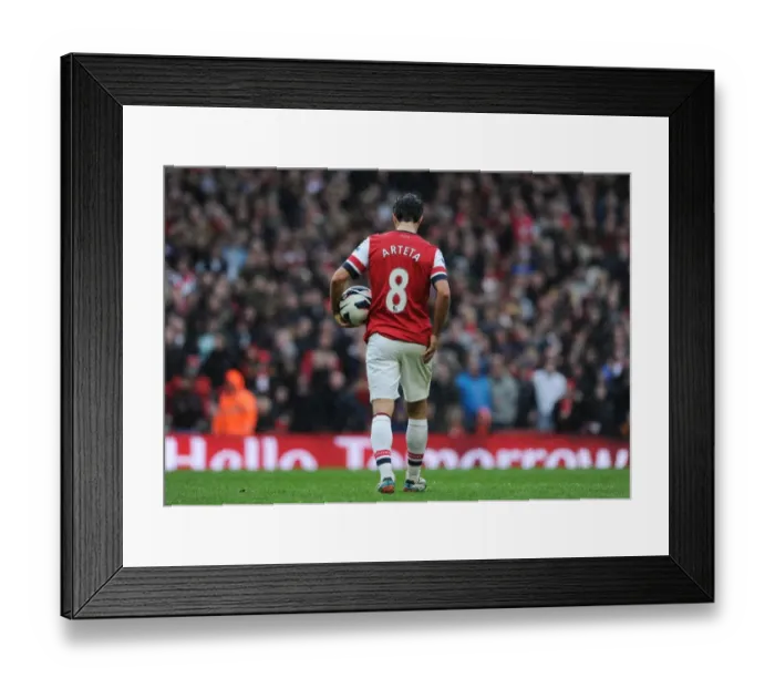 Framed Print : Arsenal vs Norwich City: Premier League Clash at Emirates Stadium (2012-13) Framed Print : Arsenal vs Norwich City: Premier League Clash at Emirates Stadium (2012-13)
