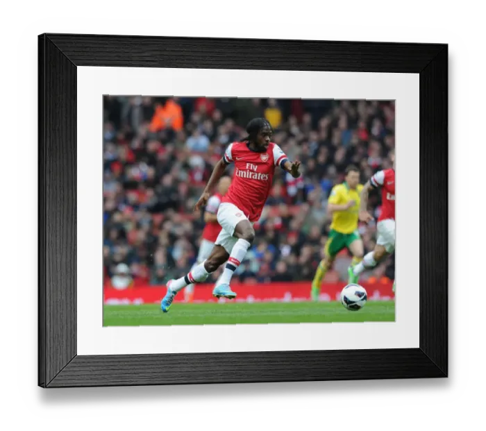 Framed Print : Arsenal vs Norwich City: Premier League Clash at Emirates Stadium (2012-13) Framed Print : Arsenal vs Norwich City: Premier League Clash at Emirates Stadium (2012-13)