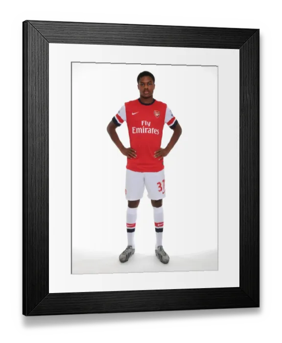 Framed Print : Arsenal 2013-14 Squad: New Season, New Challenges - Ready for Action Framed Print : Arsenal 2013-14 Squad: New Season, New Challenges - Ready for Action