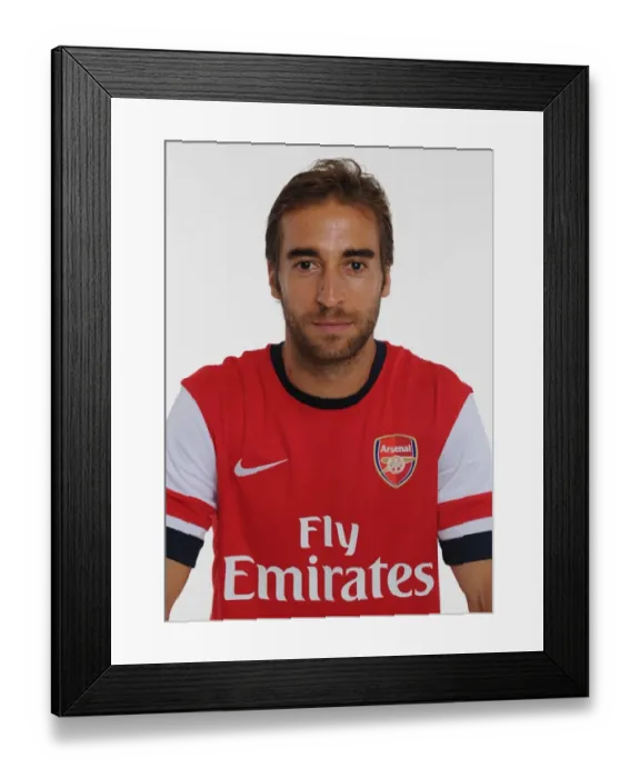 Framed Print : New Arsenal signing Mathieu Flamini. Emirates Stadium, Arsenal Football Club, London, 28  /  8  /  2013