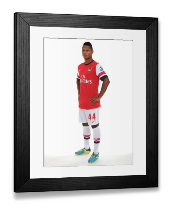 Framed Print : Arsenal 2013-14 Squad: New Season, New Beginnings Framed Print : Arsenal 2013-14 Squad: New Season, New Beginnings