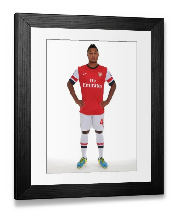 Framed Print : Arsenal 2013-14 Squad: A New Season Begins Framed Print : Arsenal 2013-14 Squad: A New Season Begins