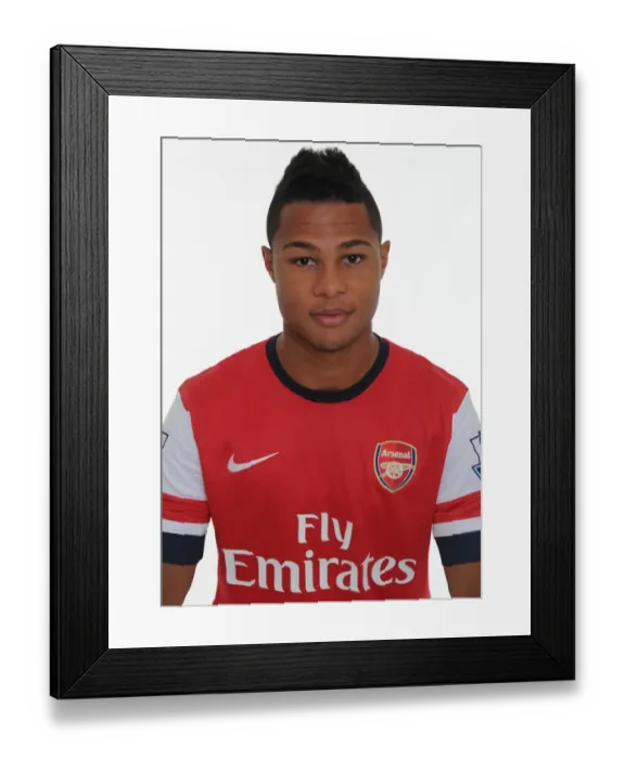 Framed Print : Arsenal 2013-14 Squad: New Beginnings - Arsenal Players at Emirates Stadium