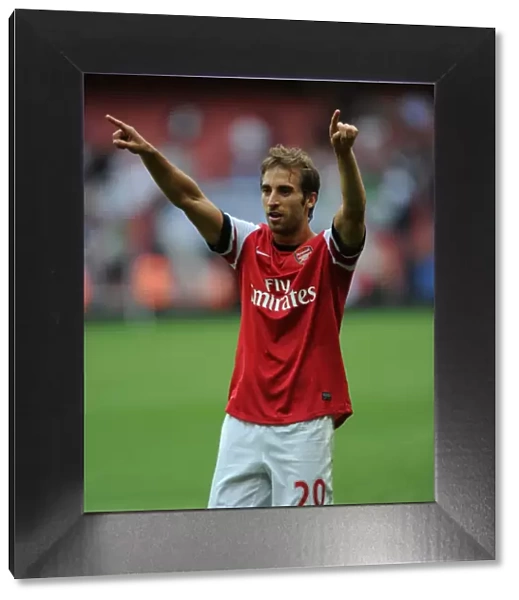 Mathieu Flamini's Celebration: Arsenal's Victory Over Tottenham Hotspur (2013-14)
