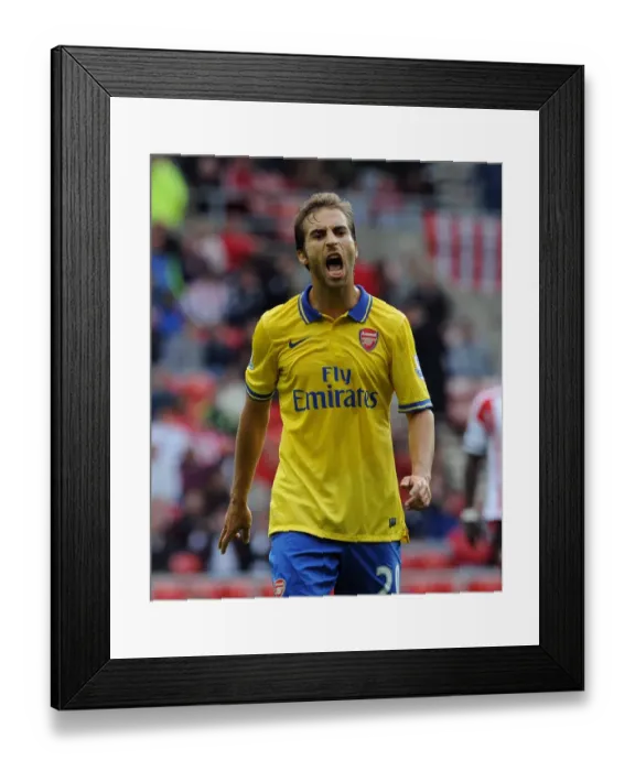 Framed Print : Mathieu Flamini in Action: Sunderland vs. Arsenal, Premier League 2013-14 Framed Print : Mathieu Flamini in Action: Sunderland vs. Arsenal, Premier League 2013-14