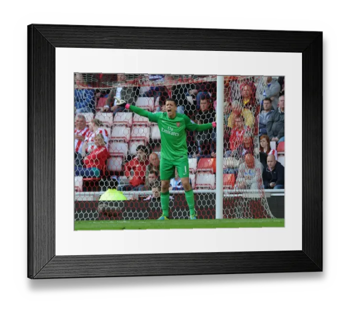 Framed Print : Wojciech Szczesny: Arsenal's Unyielding Guardian at Sunderland (2013-14)