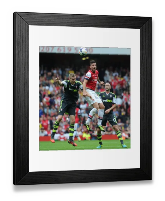 Framed Print : Giroud Soars Above Shawcross and Wilson: Arsenal vs Stoke City, 2013-14 Premier League Framed Print : Giroud Soars Above Shawcross and Wilson: Arsenal vs Stoke City, 2013-14 Premier League