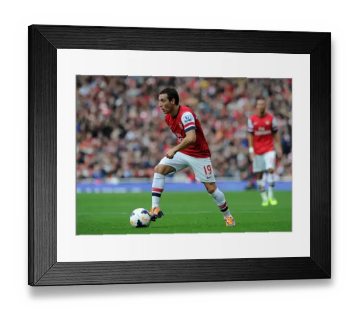 Framed Print : Santi Cazorla in Action: Arsenal vs Norwich City, Premier League 2013-14 Framed Print : Santi Cazorla in Action: Arsenal vs Norwich City, Premier League 2013-14