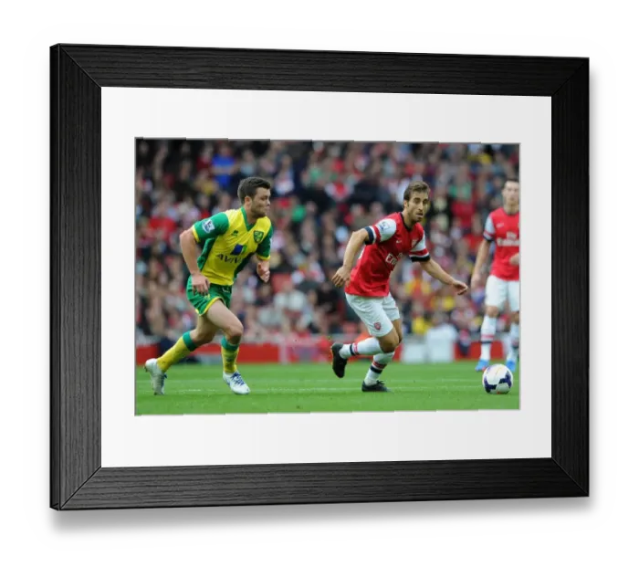 Framed Print : Mathieu Flamini (Arsenal) Jonny Howson (Norwich). Arsenal 4: 1 Norwich City. Barclays Premier League Framed Print : Mathieu Flamini (Arsenal) Jonny Howson (Norwich). Arsenal 4: 1 Norwich City. Barclays Premier League
