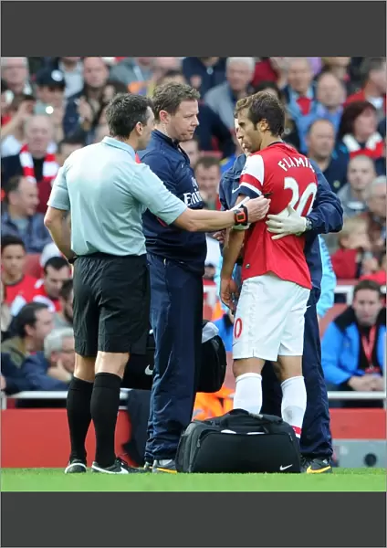 Mathieu Flamini (Arsenal) is checked by physio Colin Lewin following a clash of heads