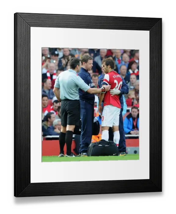 Framed Print : Mathieu Flamini (Arsenal) is checked by physio Colin Lewin following a clash of heads