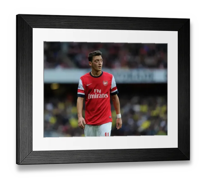 Framed Print : Mesut Ozil in Action: Arsenal vs Norwich City, Premier League 2013-14 Framed Print : Mesut Ozil in Action: Arsenal vs Norwich City, Premier League 2013-14