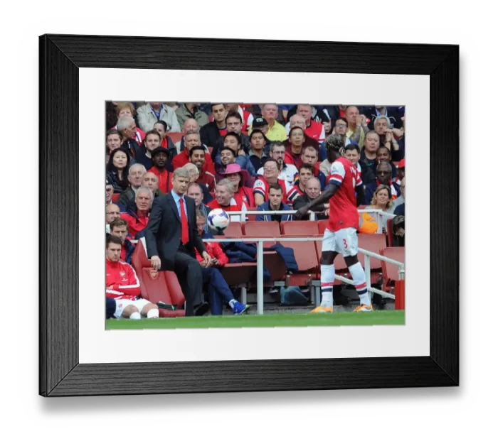 Framed Print : Arsene Wenger and Bacary Sagna in Action: Arsenal vs Norwich City, 2013-14 Premier League Framed Print : Arsene Wenger and Bacary Sagna in Action: Arsenal vs Norwich City, 2013-14 Premier League