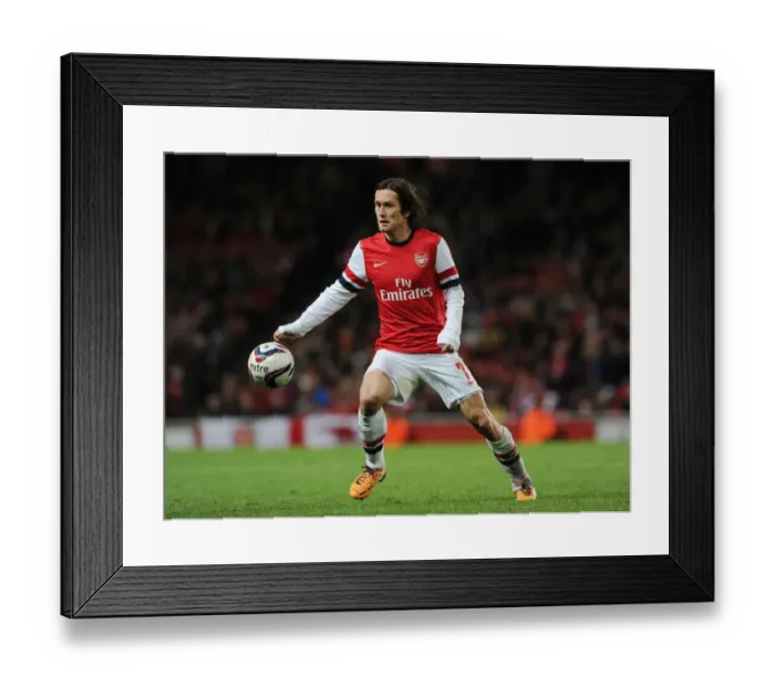 Framed Print : Tomas Rosicky in Action: Arsenal vs Chelsea, Capital One Cup 2013-14 Framed Print : Tomas Rosicky in Action: Arsenal vs Chelsea, Capital One Cup 2013-14