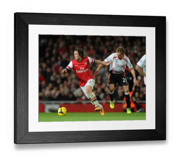 Framed Print : Tomas Rosicky (Arsenal) Lucas Leiva (Liverpool). Arsenal 2: 0 Liverpool. Barclays Premier League Framed Print : Tomas Rosicky (Arsenal) Lucas Leiva (Liverpool). Arsenal 2: 0 Liverpool. Barclays Premier League