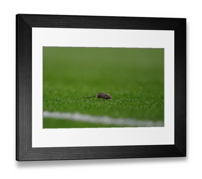 Framed Print : Unexpected Interloper: The Mouse Invades Manchester United vs. Arsenal Framed Print : Unexpected Interloper: The Mouse Invades Manchester United vs. Arsenal