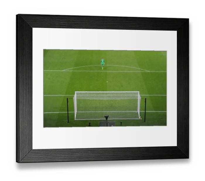 Framed Print : Arsenal's Szczesny in Action Against Southampton (2013-14) Framed Print : Arsenal's Szczesny in Action Against Southampton (2013-14)