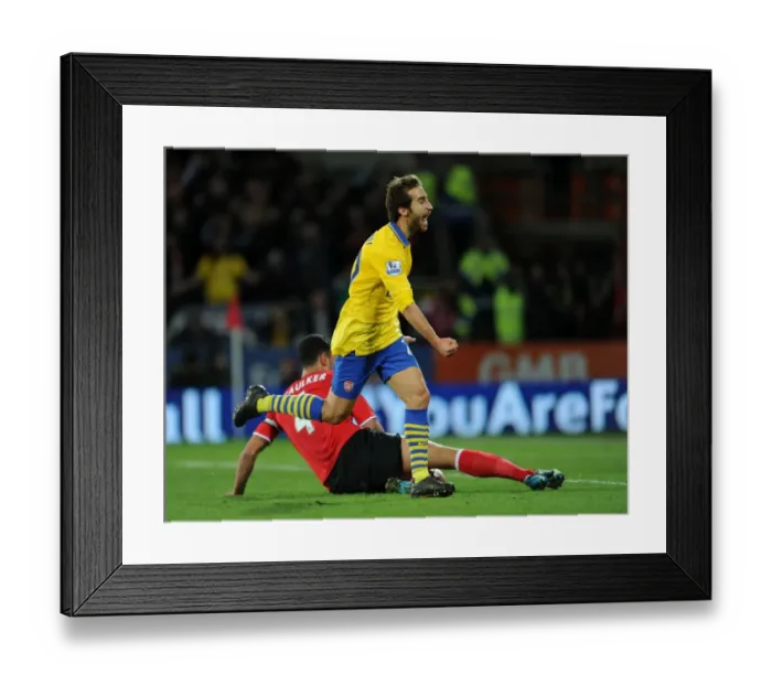 Framed Print : Mathieu Flamini Scores Arsenal's Second Goal vs. Cardiff City (2013-14) Framed Print : Mathieu Flamini Scores Arsenal's Second Goal vs. Cardiff City (2013-14)