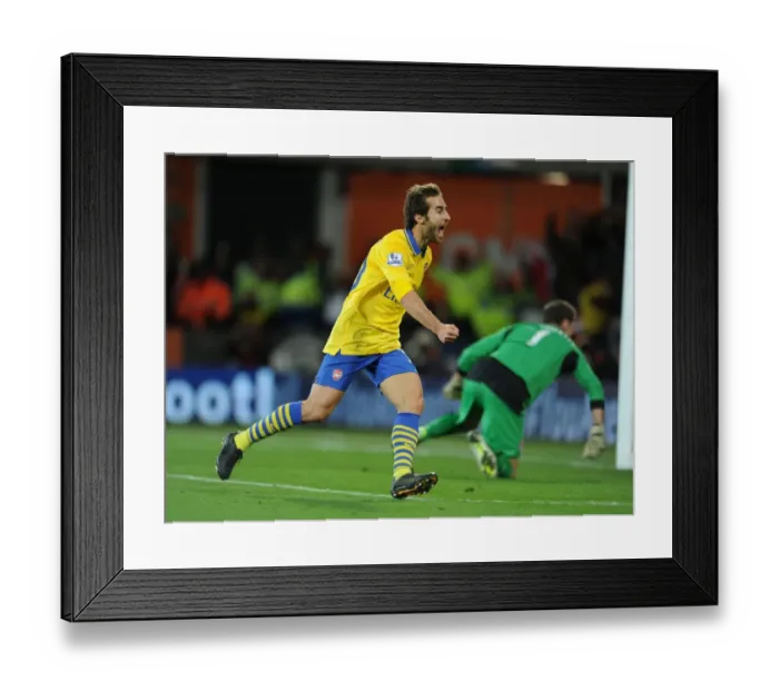 Framed Print : Flamini Scores Arsenal's Second Goal Against Cardiff City (2013-14) Framed Print : Flamini Scores Arsenal's Second Goal Against Cardiff City (2013-14)