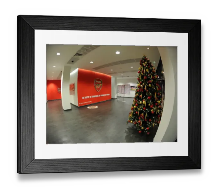 Framed Print : Arsenal's Festive Emirates: Christmas Trees at Arsenal v Hull City (2013-14)