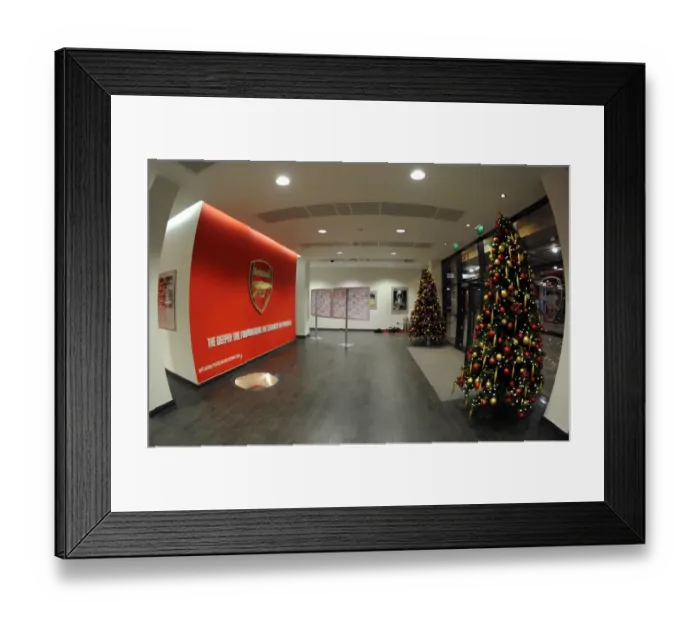 Framed Print : Arsenal's Holiday Spirit: Christmas Trees at Emirates Stadium (Arsenal v Hull City, 2013-14)