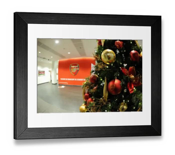 Framed Print : Arsenal vs Hull City: Premier League Match at Emirates Stadium with Unique Christmas Tree Decor Framed Print : Arsenal vs Hull City: Premier League Match at Emirates Stadium with Unique Christmas Tree Decor