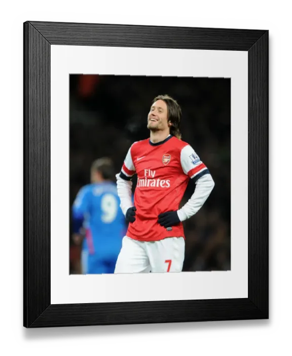 Framed Print : Arsenal's Tomas Rosicky in Action against Hull City (2013-14)