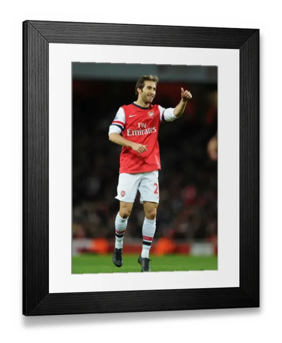Framed Print : Flamini in Action: Arsenal vs Everton, Premier League 2013-14 Framed Print : Flamini in Action: Arsenal vs Everton, Premier League 2013-14